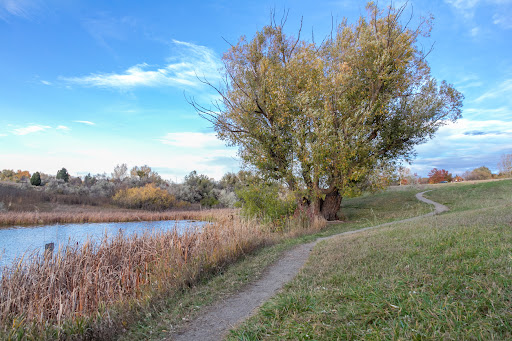 arvada estate planning attorney